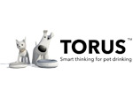 torus