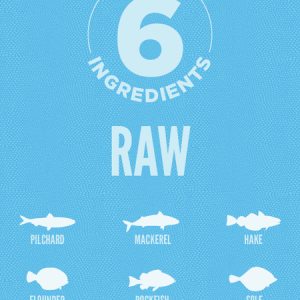 Six-Fish (4)