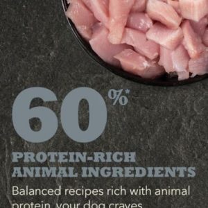 ns-acana-dog-ingredients-adult-small-breed-556×800