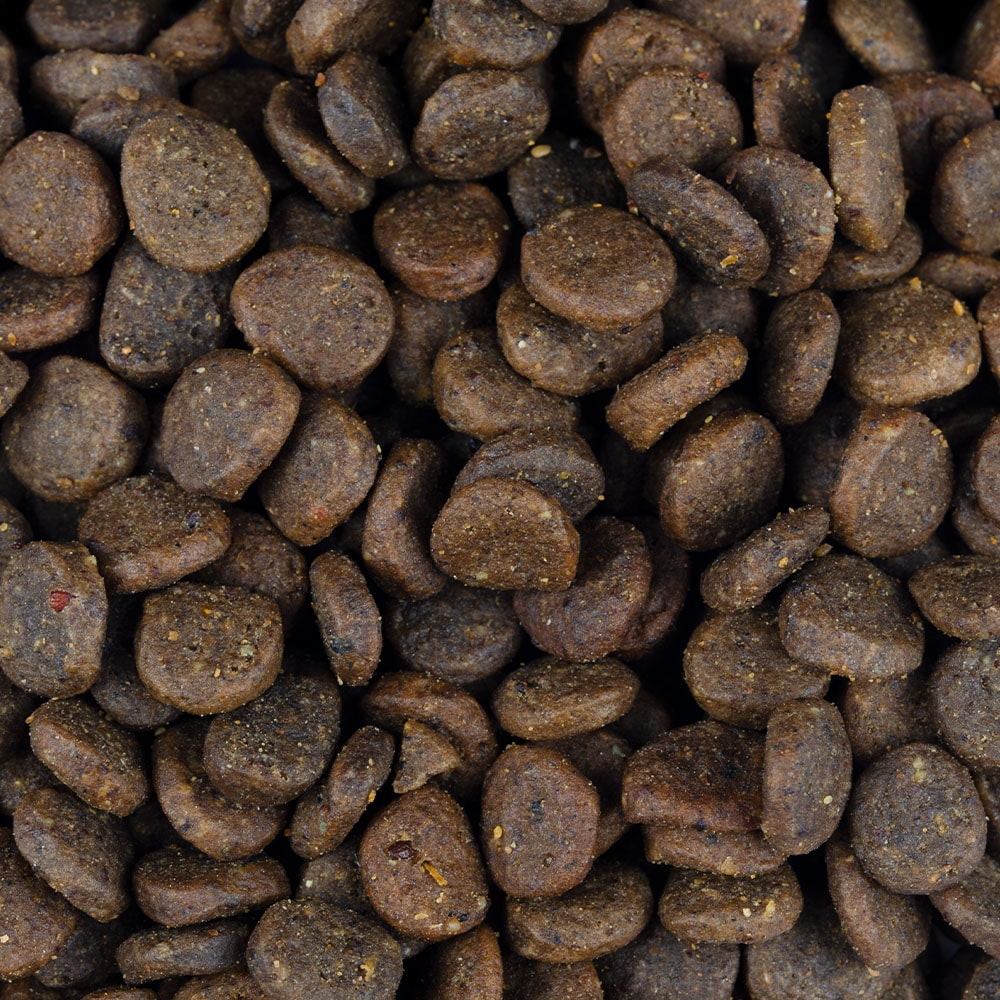 Carnilove_True_Fresh_Hund_Premium_Trockenfutter_Puppy_Fresh_Turkey_Welpe_Junghund_Frischer_Truthahn-min